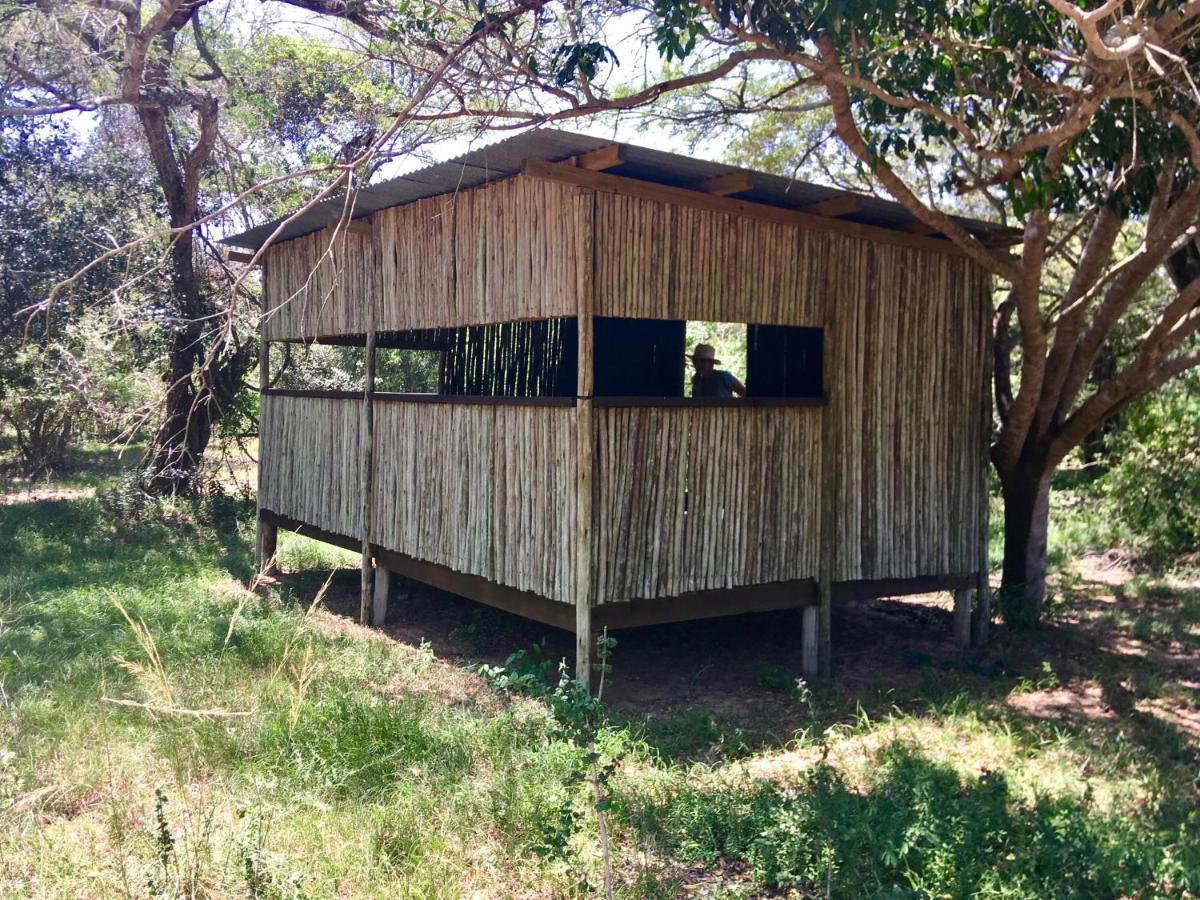 Imani Bush House & Silver Sky Chalet Hluhluwe Extérieur photo